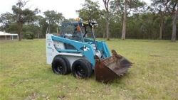 Bobcat
